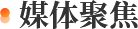 正文适合核对表述