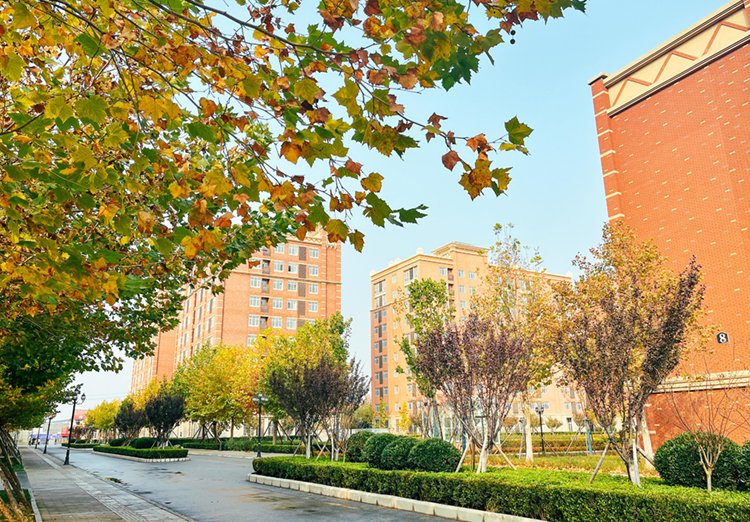 一起聊最新版app与巴塞罗那达成官方合作